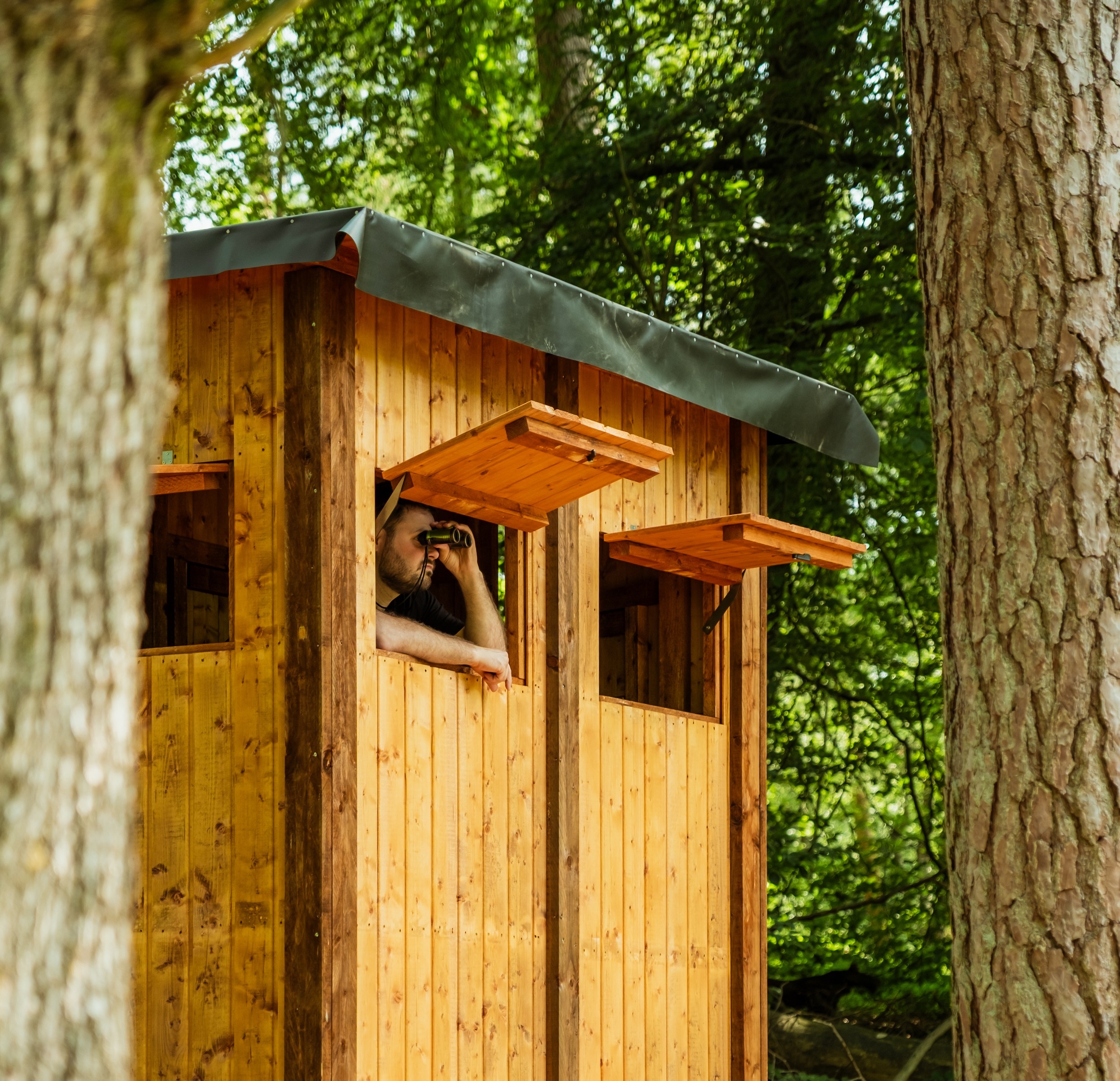 Wildspothut