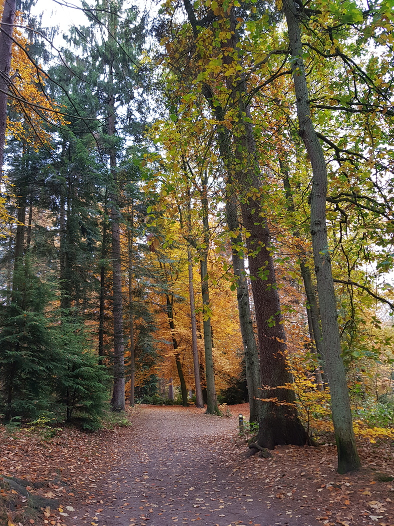 Laat je verwonderen en ontdek mooie herfstkleuren rondom landgoed Beekhuizen!